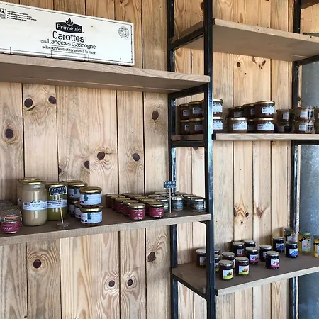 Les Du Lizon אכסניה *