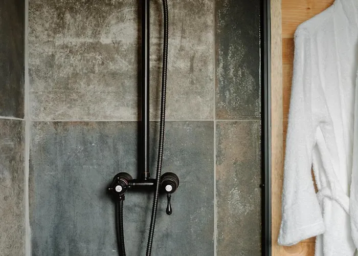 Les Du Lizon 山林小屋 *