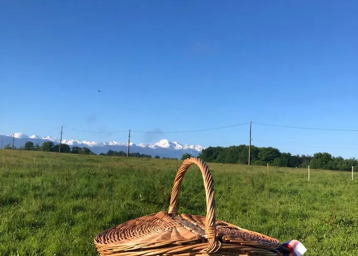 Les Du Lizon * Bernadets-Dessus