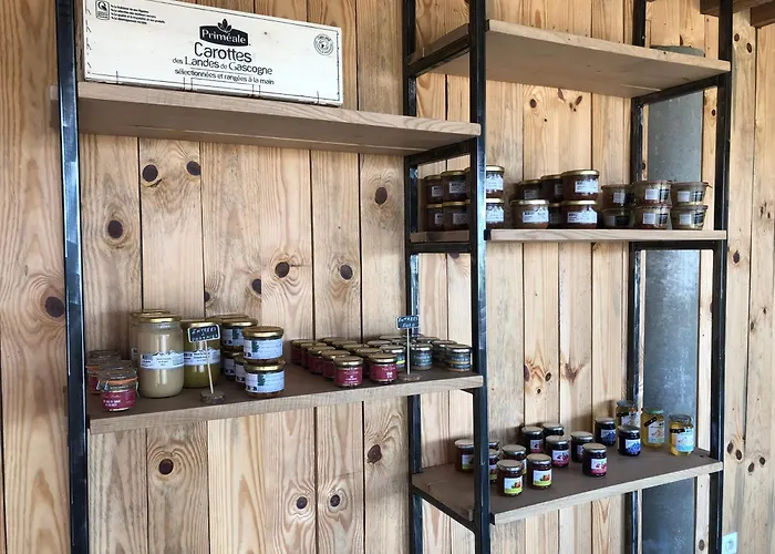 Les Du Lizon 山林小屋 *